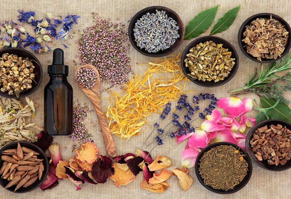 Herbal Solutions