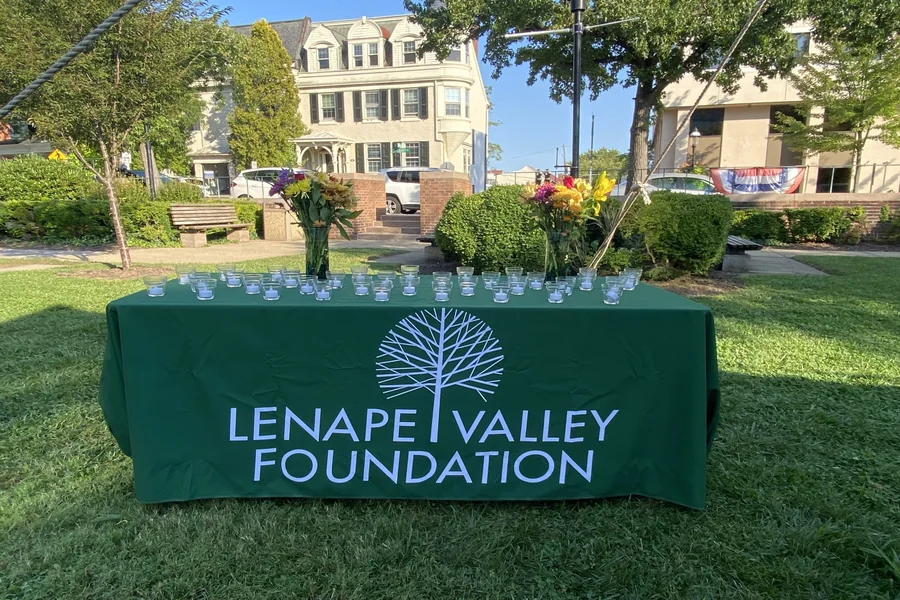 Lenape Valley Foundation: Community Support and Mental Health Services Explained